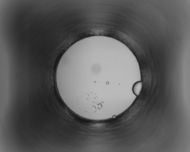 X0000097490313200802220846