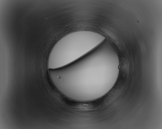 X0000097490315200802220846