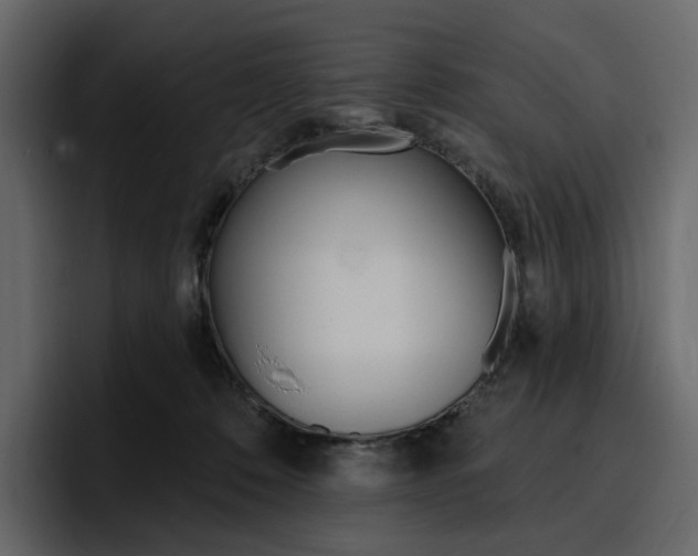 X0000097490320200802220845