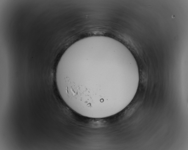 X0000097490321200802220845