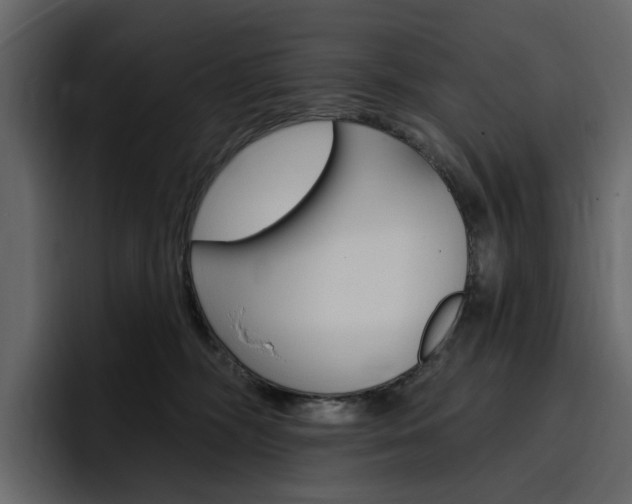 X0000097490326200802220845