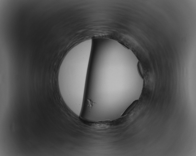 X0000097490327200802220845