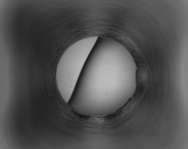 X0000097490328200802220845