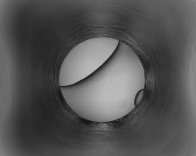 X0000097490330200802220845