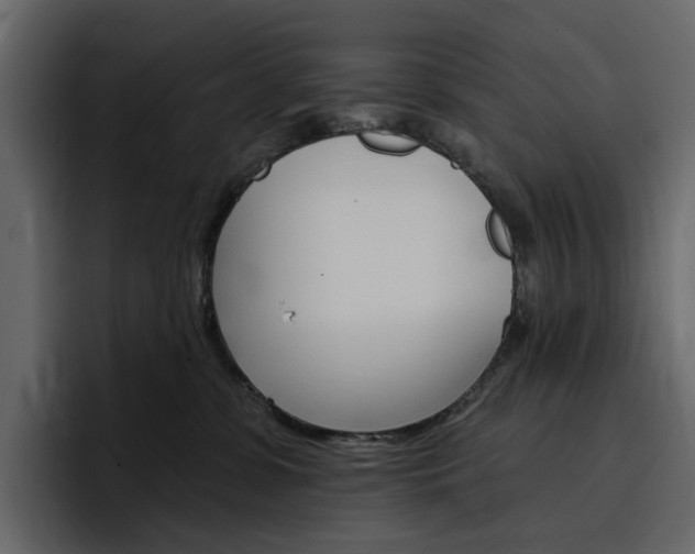 X0000097490331200802220845