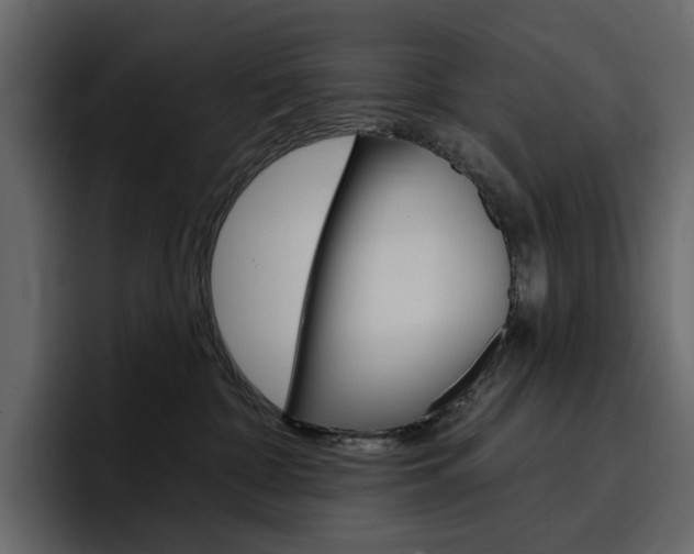 X0000097490332200802220845