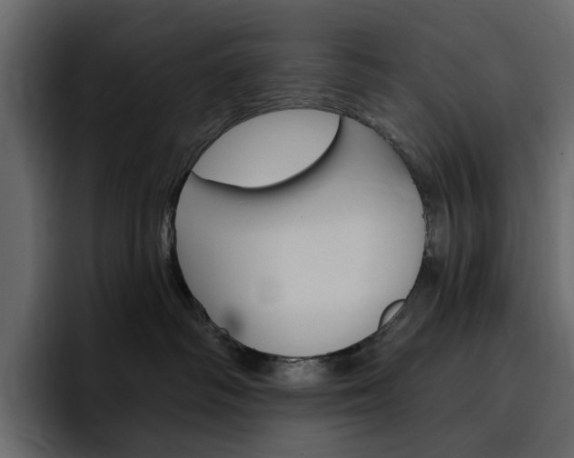 X0000097490334200802220845