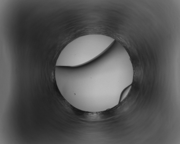 X0000097490335200802220845