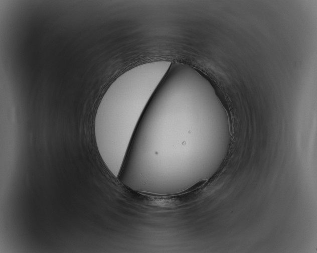X0000097490336200802220845
