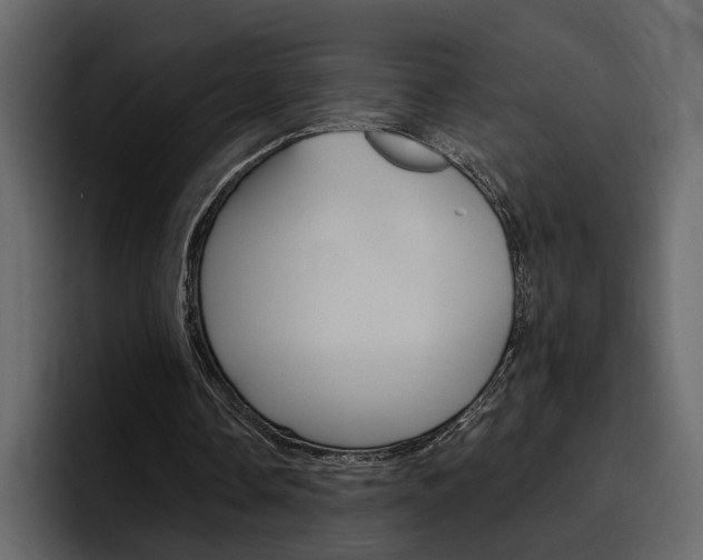 X0000097490338200802220845