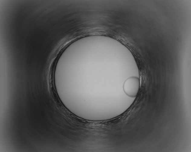 X0000097490339200802220845