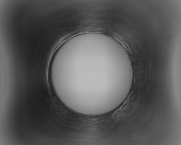 X0000097490340200802220845