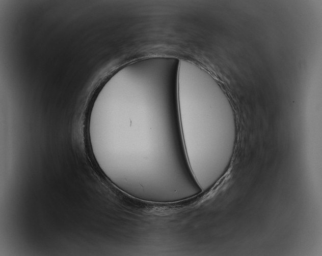 X0000097490341200802220845