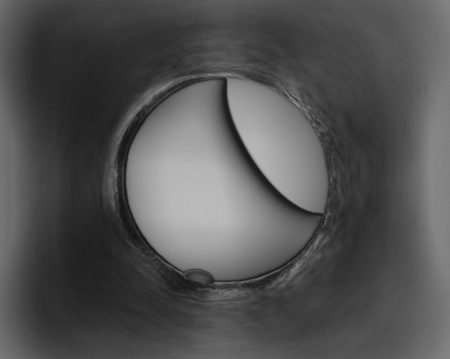 X0000097490342200802220845