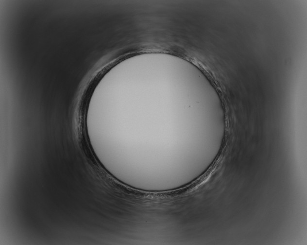 X0000097490343200802220845