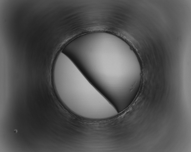 X0000097490345200802220845