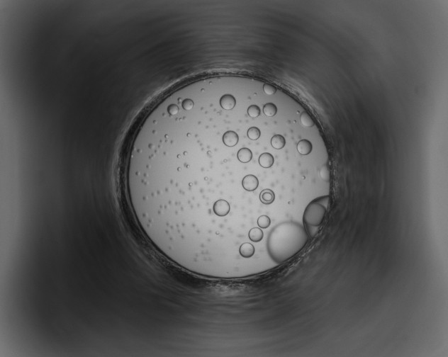 X0000097490346200802220845