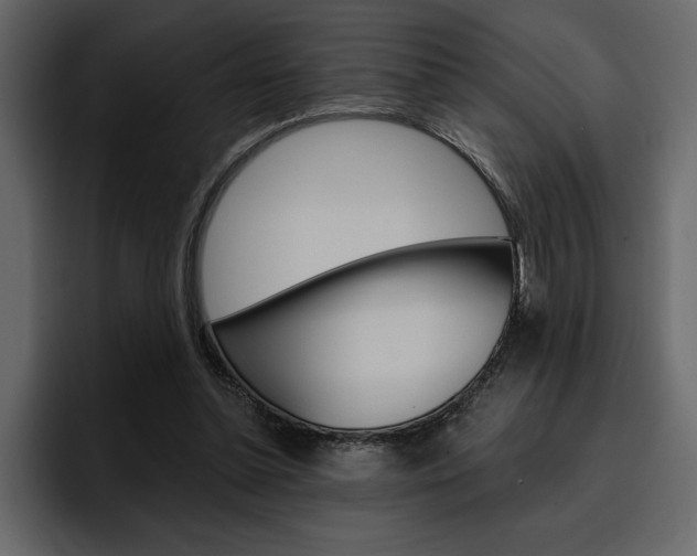 X0000097490348200802220845