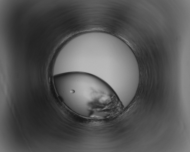 X0000097490350200802220845