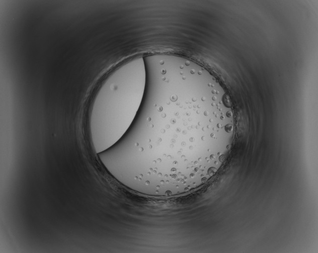 X0000097490351200802220845