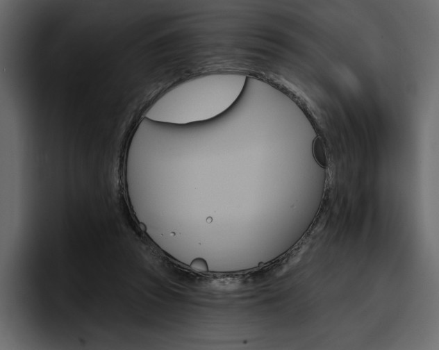 X0000097490353200802220845