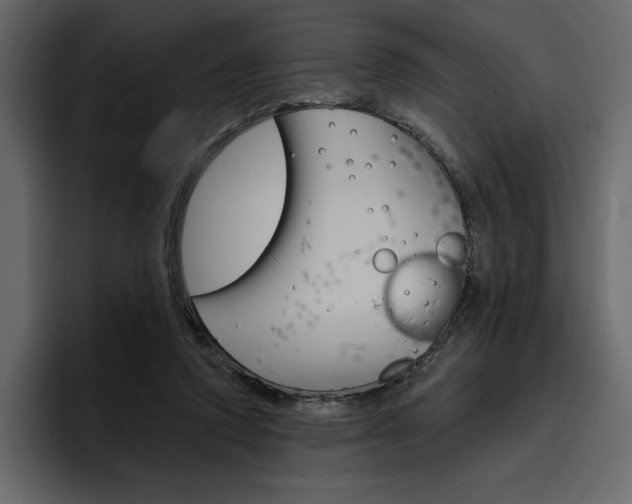 X0000097490354200802220845