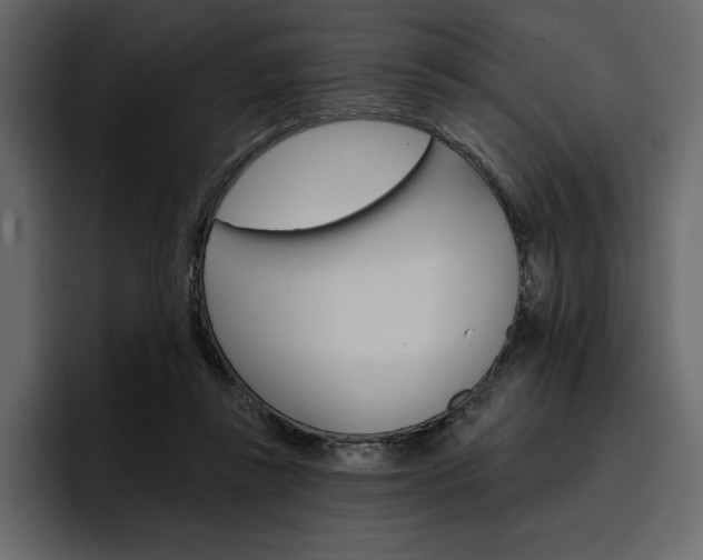 X0000097490355200802220845