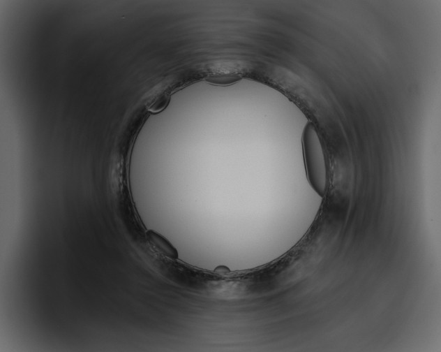 X0000097490356200802220845