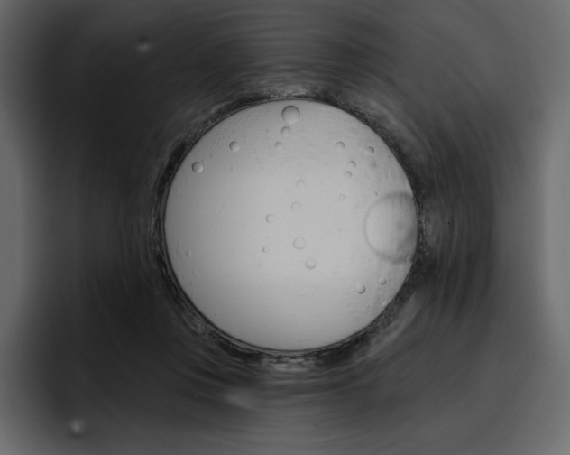 X0000097490359200802220845