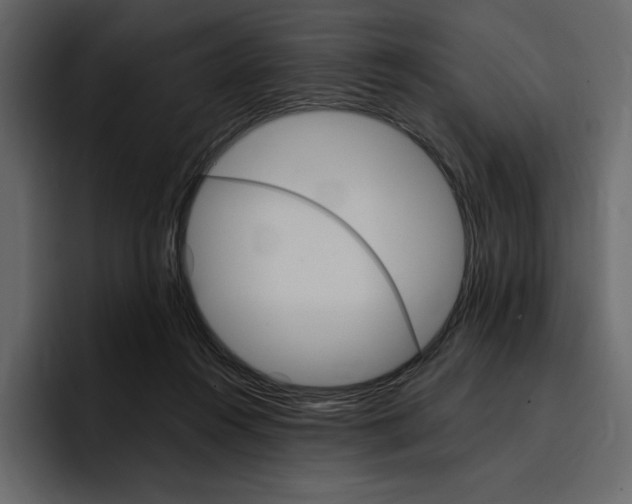 X0000097490360200802220845