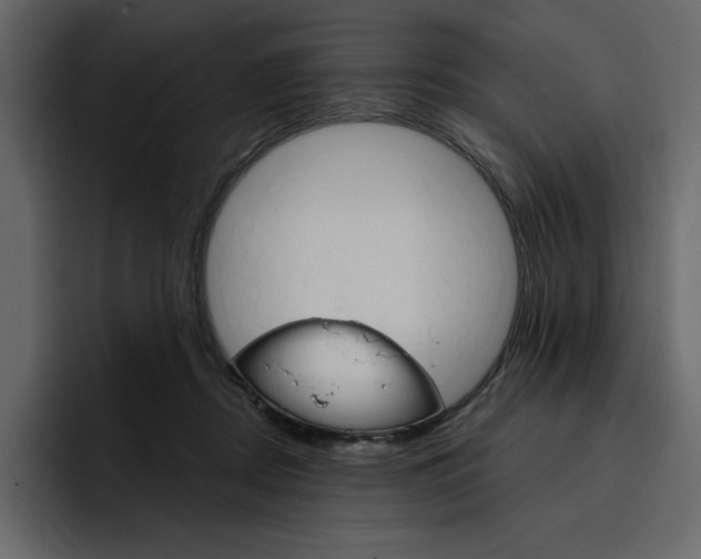 X0000097490362200802220845