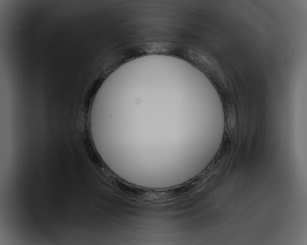 X0000097490367200802220845