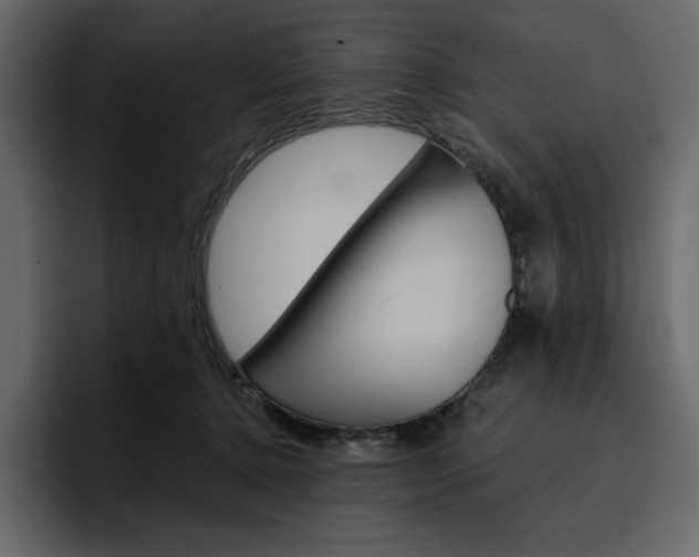 X0000097490368200802220845