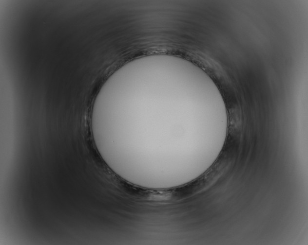 X0000097490369200802220845