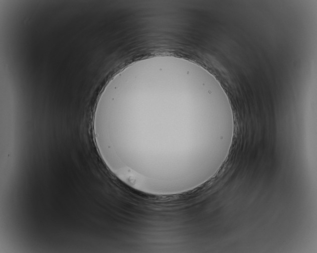 X0000097490370200802220845