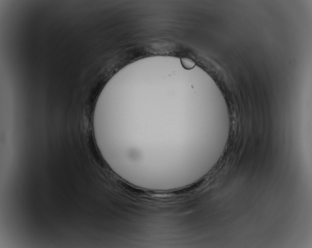 X0000097490371200802220845