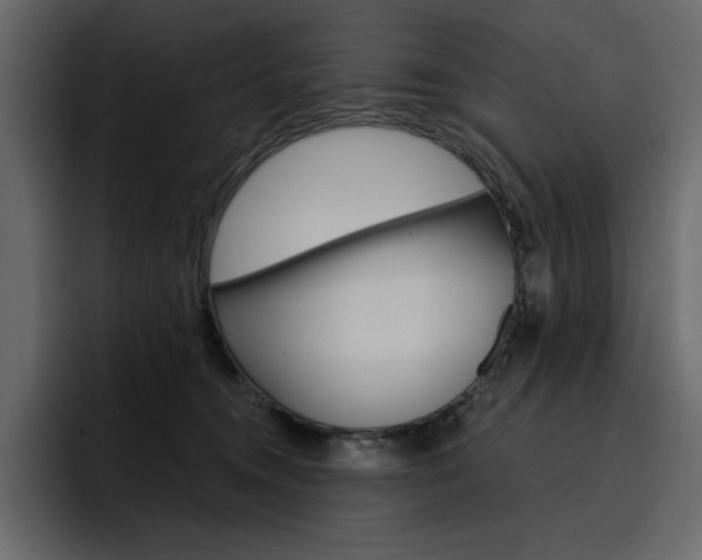 X0000097490372200802220845