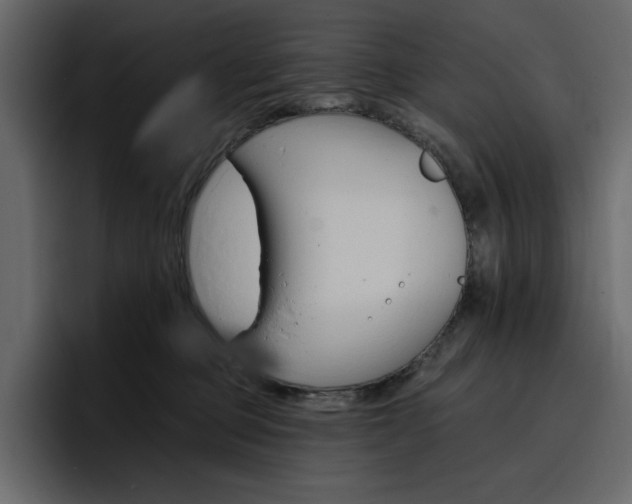 X0000097490373200802220845
