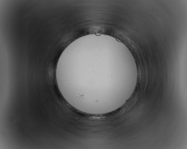 X0000097490375200802220845