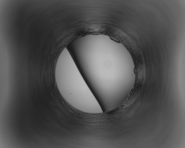 X0000097490376200802220845