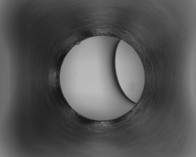 X0000097490378200802220845