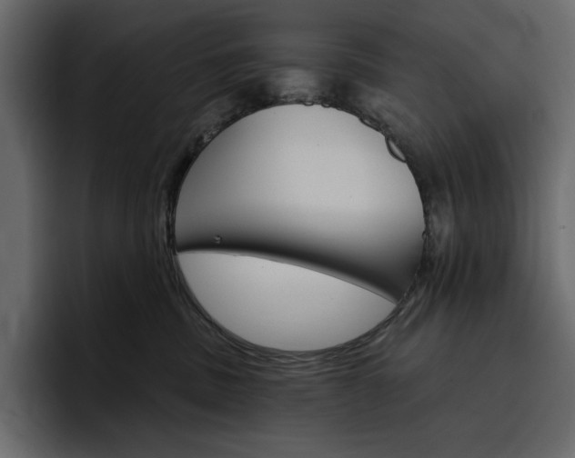 X0000097490379200802220845