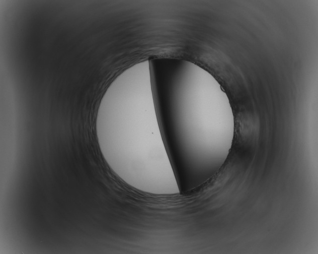 X0000097490380200802220845