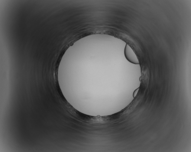 X0000097490381200802220845