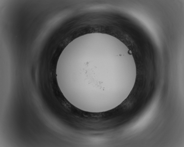 X0000097490382200802220845