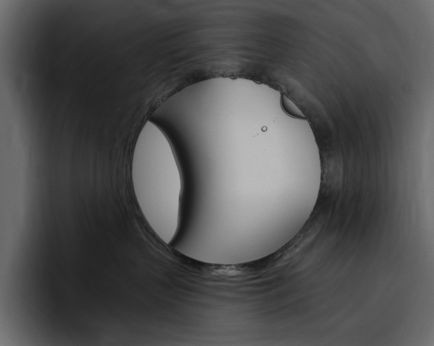 X0000097490383200802220845