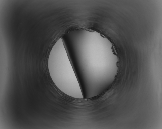X0000097490384200802220845