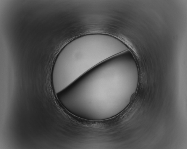X0000097490385200802220845