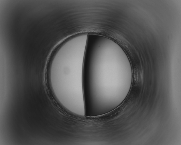 X0000097490388200802220845