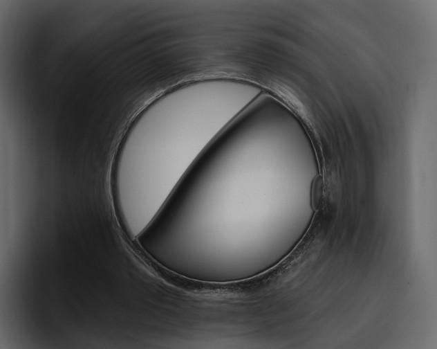 X0000097490389200802220845